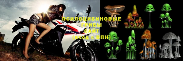 spice Армянск