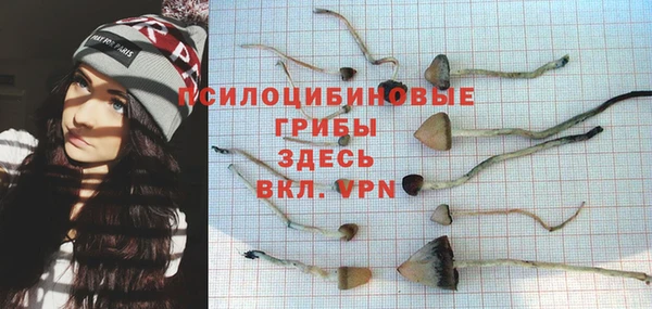 spice Армянск