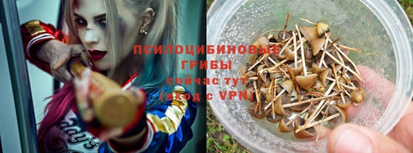амф Арсеньев